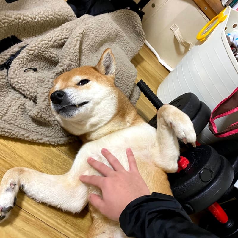 ドクター
